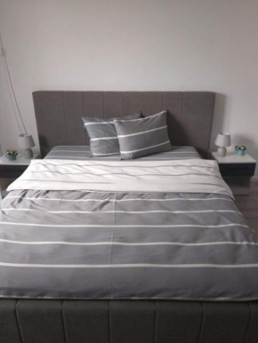 Gigi Apartment Cluj-Napoca